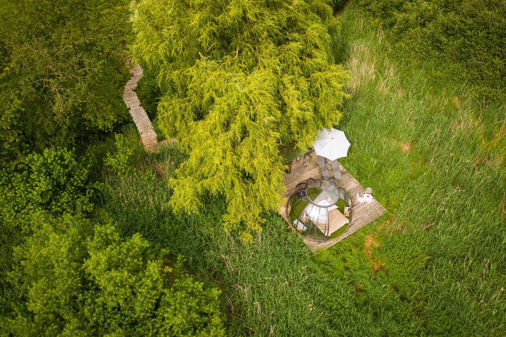 La Mésange
